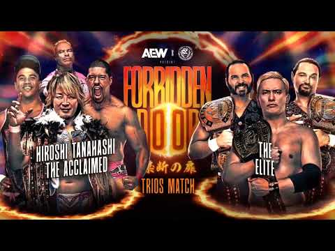 AEW x NJPW Forbidden Door 2024 Match Card