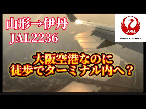 【JAL】　JAL2236便　山形→伊丹　大阪空港なのに、なぜか徒歩でターミナル内へ