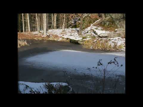 Pond Time Lapse for Five Days