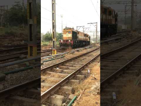 इंडियन रेलवे इन लैप ऑफ़ ब्यूटीफुल नेचर #shorts #indianrailways #train #railway #shortvideo