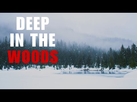 7 Disturbing Deep Woods Horror Stories | Scary Deep Woods Stories | Scary Stories | With Rain Sounds