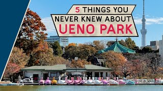 Tokyo's Ueno Park Revealed: 5 Surprising Facts