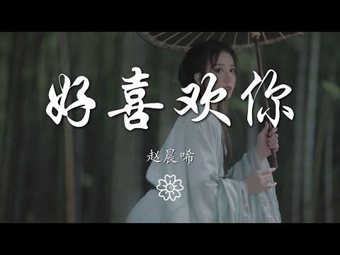 趙晨唏 - 好喜歡你『好喜歡你 想問你知不知道』【動態歌詞Lyrics】