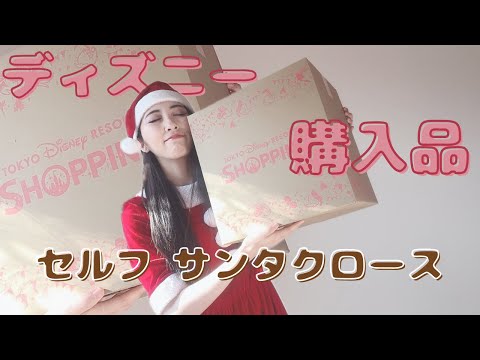 【購入品】自分へのクリスマスプレゼント🎁ディズニーオンラインショッピング【一万円】