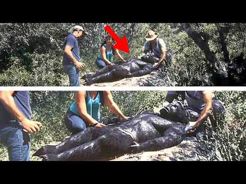 Finding Bigfoot Crew: "The Utah Folklore Archives Confirm Bigfoot Is REAL!"