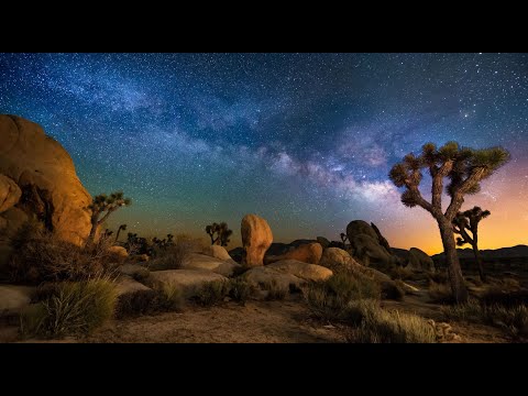 Joshua tree national park