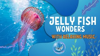 Underwater Realm  Aquarium 4K Jellyfish Wonders With Calming Music #calmmusicanxiety