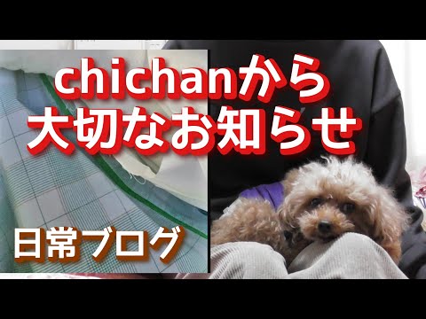 【日常ブログ】chichanから大切なお知らせ