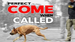 Train Your Dog to COME when CALLED EVERY TIME - Online Dog Training Made Easy