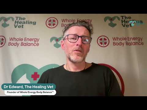 Creating Harmony for your pets and in your life with Dr Ed, The Healing Vet