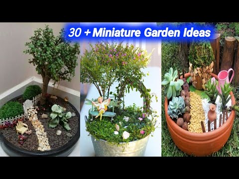 30+Miniature Garden Ideas/Fairy Garden Ideas/DIY Miniature Garden /Fairy House DIY Ideas