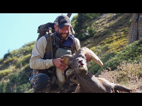 Colorado BIGHORN SHEEP Hunt | Catch Clean Cook