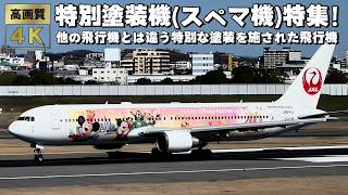 特別塗装機(スぺマ機)特集！他の飛行機と違う特別なカラーリングのかっこいい飛行機をたっぷりお見せします！