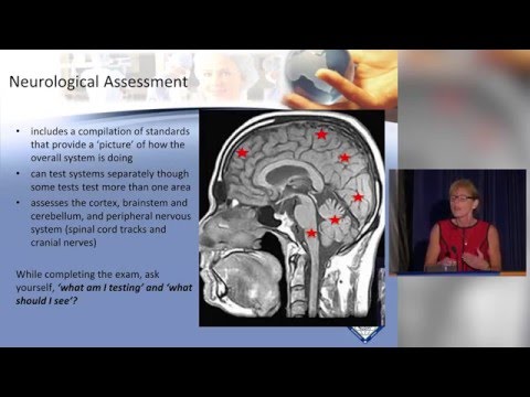 Neurological Assessment