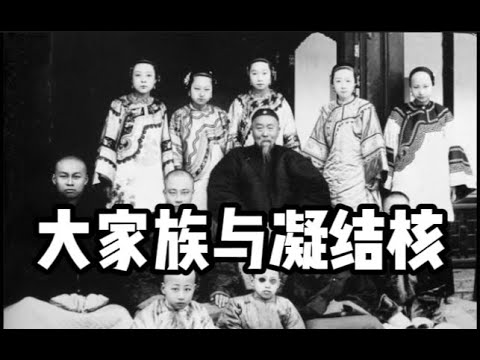 中国需要妻妾成群长子继承｜日本式自我阉割小资情怀｜如何逃离养老院屎尿屁的结局