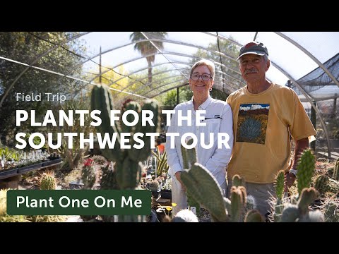 Plants for the Southwest PLANT TOUR — Ep. 334