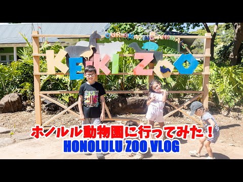 【ハワイ旅行vlog】ホノルル動物園-Honolulu Zoo-