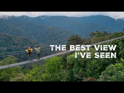 Hiking Through the Nyungwe National Park in Rwanda!