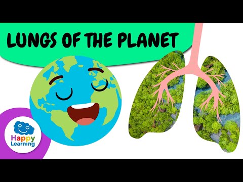 THE LUNGS OF THE EARTH | Educational Videos for Kids | Happy Learning 🫁🌏🌳