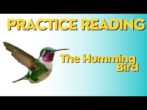 English speaking story |Humming Bird|Never Give Up|@readlistenandspeak