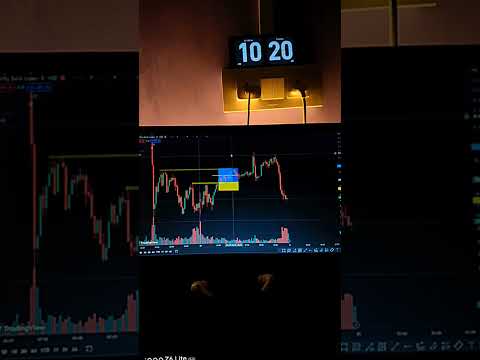 Ham vo parinde hai jo pinzara hi le ude #trading #shortsvideo #shorts #viralvideo