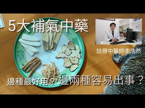 中醫師講解5種最常用補氣藥  邊種最好駛好用？ 邊兩款容易中招？邊款可以長期食？