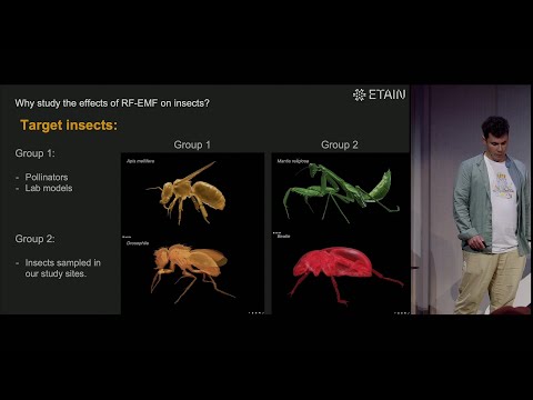 Exploring 5G Effects on Insects through CT-Scanned 3D Models — Blender Conference 2024