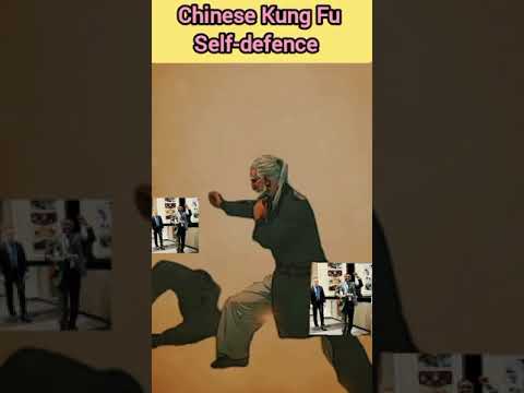 Chinese Kung Fu: Self defence  #chinese #kungfu #selfdefenseskills #viralshort #viralvideo #nigeria