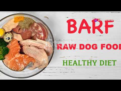 Ready to boost your dog's health with raw feeding?