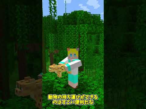 持てるモノは持ち運んじゃおうね～【MOD紹介】 #マイクラ #mod紹介