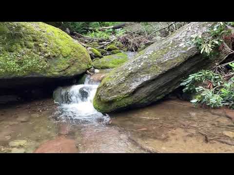 2021 - 4th of July weekend Delaware Water Gap - German Shepherd Hiking Video Hiking with Dog ep200