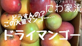 【ドライマンゴー】あり過ぎるマンゴーで美味しいドライマンゴーの作り方を検証した結果…。