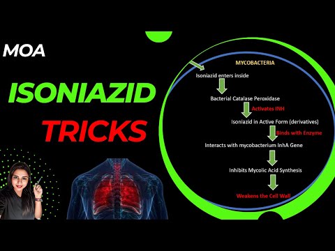 ISONIAZID Mechanism of Action in Hindi, Anti-Tubercular Drugs