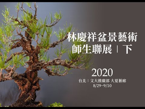 它的百年肌理∣2020林慶祥盆景藝術師生聯展∣下篇 Bonsai Exhibition