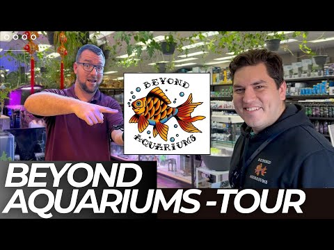 Beyond Aquariums - Full Tour