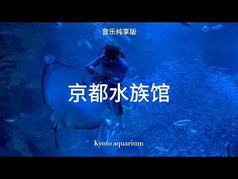 京都水族馆