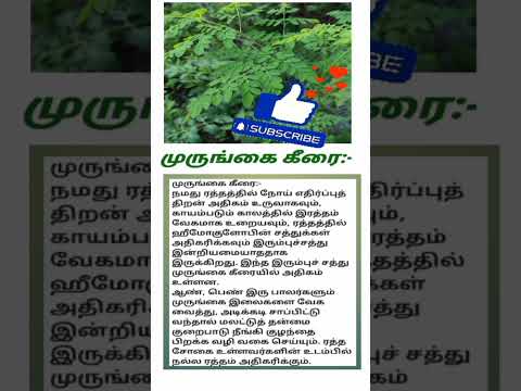 முருங்கை கீரை நன்மைகள் #murungaikeerai #healthtips  #shorts