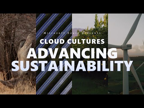 How businesses around the world are tackling sustainability | Cloud Cultures