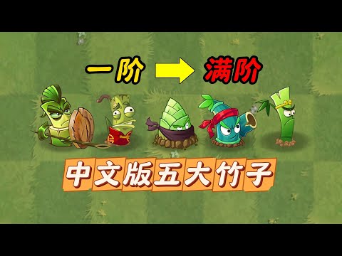 What is the gap between the first and full ranks of the five bamboos in the Chinese version?