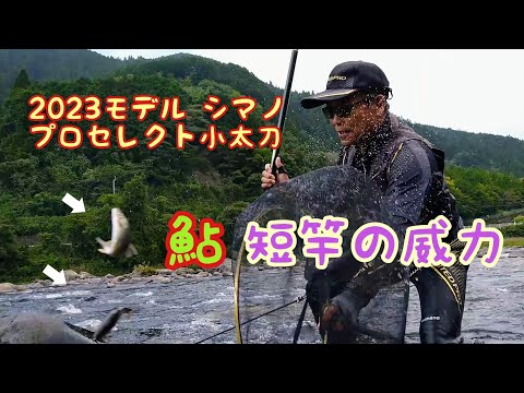 鮎釣り  注目の短竿で長良川郡上を釣ると…！【シマノ プロセレクト小太刀 新登場】