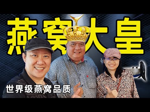 最大燕窝厂 Steven&Leong｜慧走高飞029