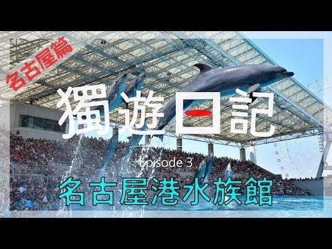 名古屋港水族館, 很靚很壯觀~｜獨遊日記｜Ep3