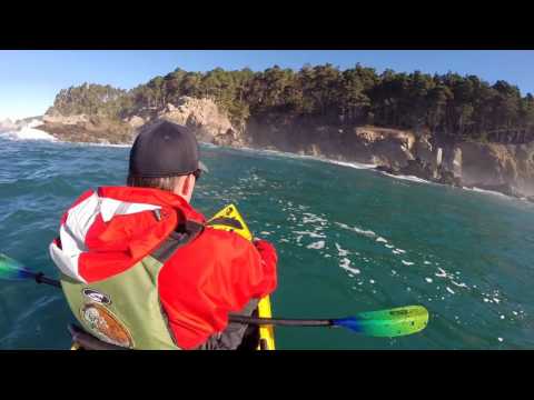 Rockfish on the fly at Ocean Cove