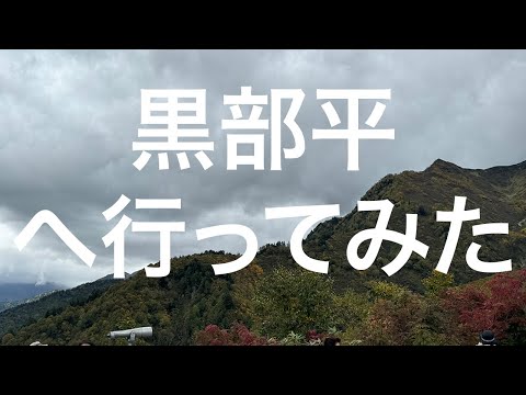 【立山黒部アルペンルート】黒部平 2024/10/07