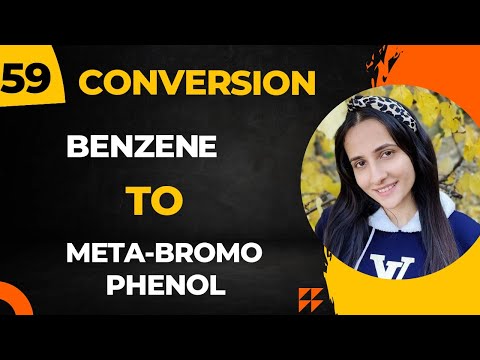 59) Convert Benzene to meta-bromophenol| Important Organic conversions Class12 chemistry