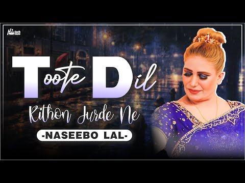 Toote Dil Kithon Jurde Ne | Naseebo Lal | Best Hit | Hi-Tech Music