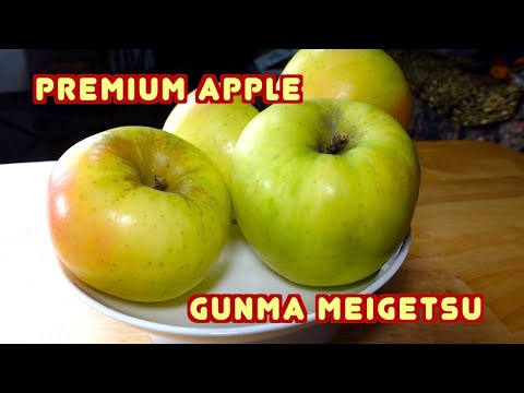 Gunma Meigetsu - Japanese Premium Apple