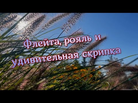 Флейта, рояль и удивительная скрипка, красивая музыка  Музыка для души