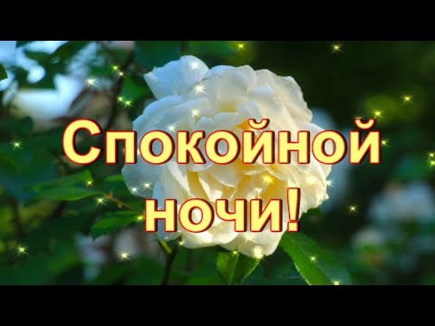 Спокойной ночи! Пусть приснятся красивые сны!