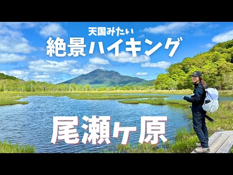 【尾瀬ヶ原ハイキング】一度は絶対来て欲しい！尾瀬小屋グルメが最高すぎる！1泊2日【アヤメ平ルート下山】